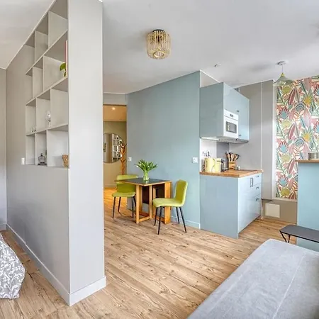 Beautiful Parisian With Small Balcony Appartement